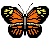 standard butterfly